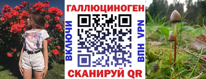 закладка  Истра  Галлюциногенные грибы ЛСД 